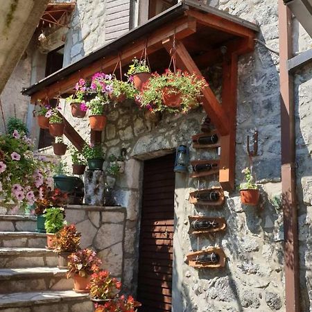 Aleksa Guest House Cetinje Bagian luar foto