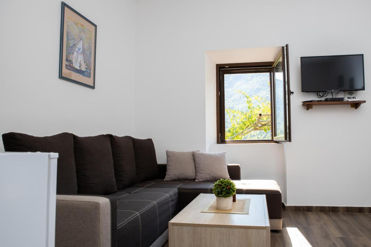 Aleksa Guest House Cetinje Bagian luar foto