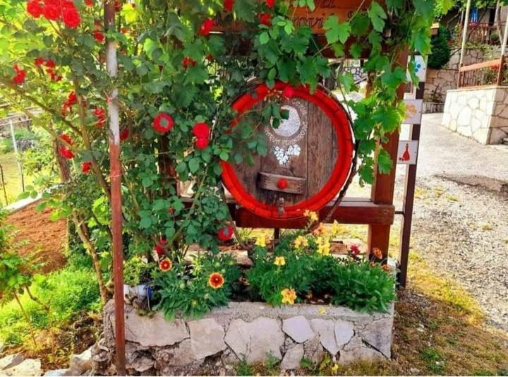 Aleksa Guest House Cetinje Bagian luar foto