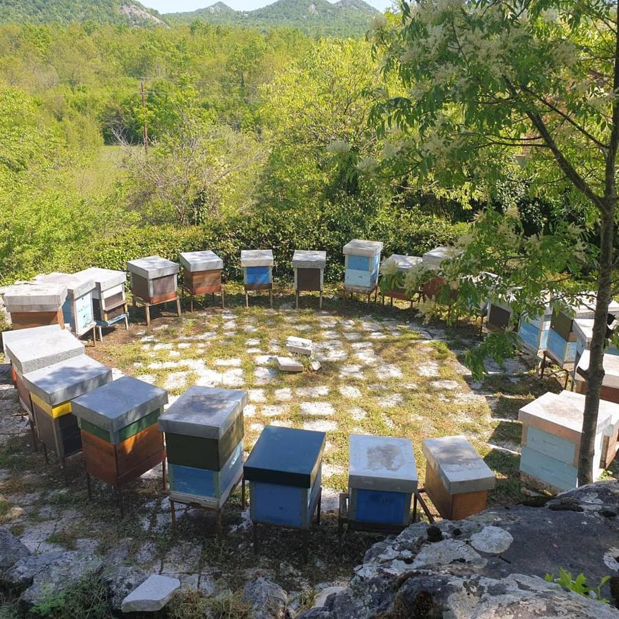Aleksa Guest House Cetinje Bagian luar foto