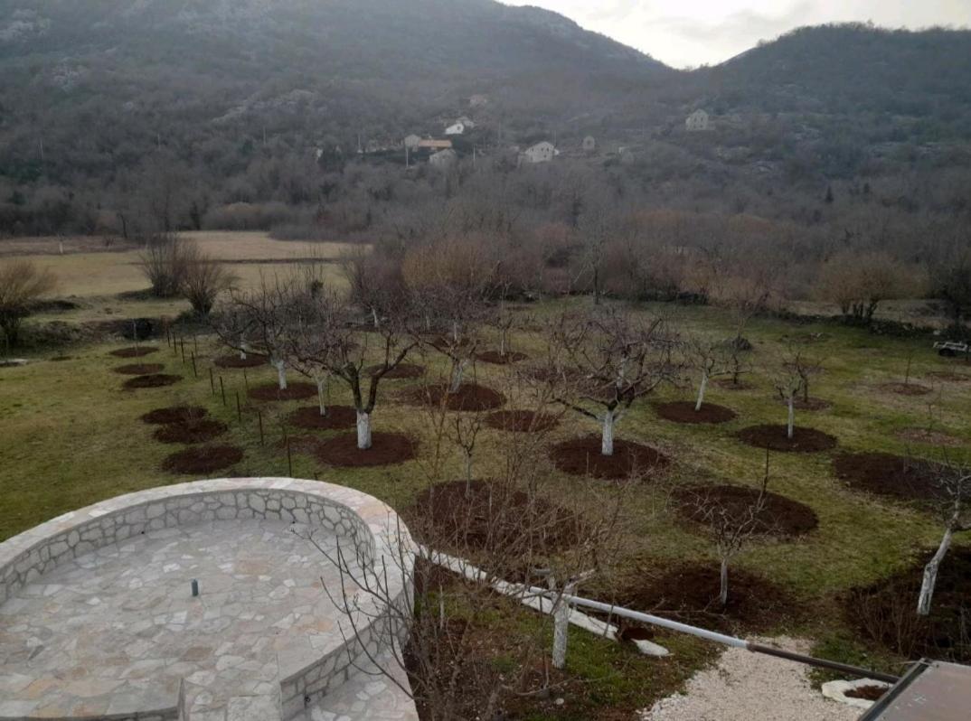 Aleksa Guest House Cetinje Bagian luar foto