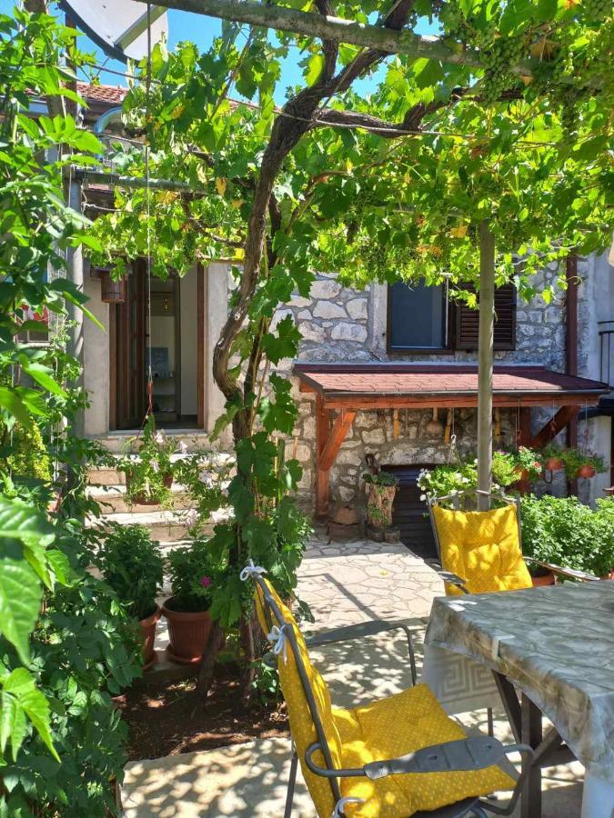 Aleksa Guest House Cetinje Bagian luar foto