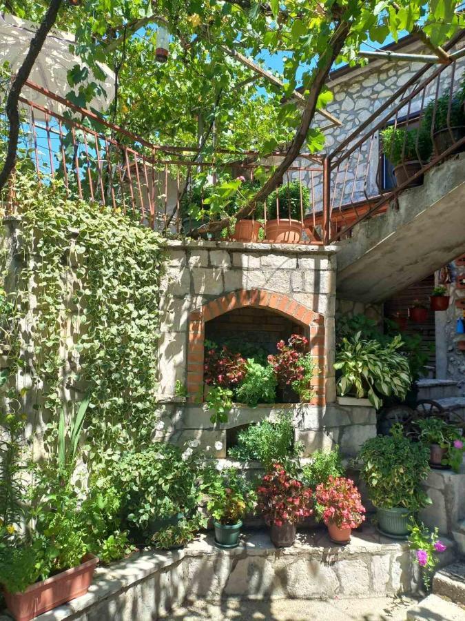Aleksa Guest House Cetinje Bagian luar foto