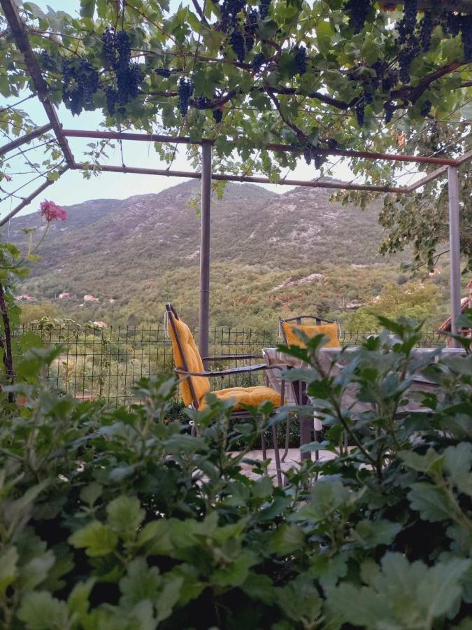 Aleksa Guest House Cetinje Bagian luar foto