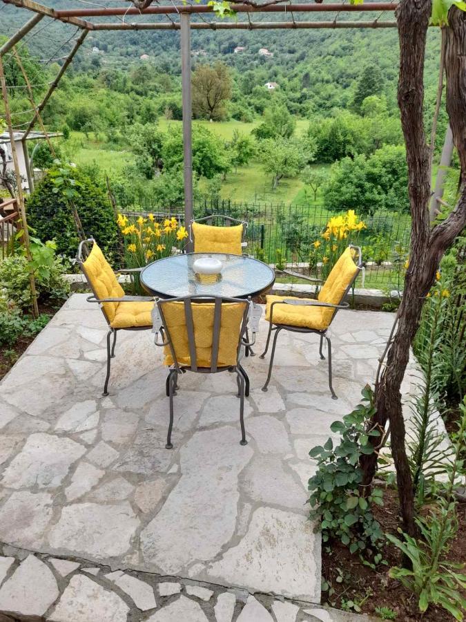 Aleksa Guest House Cetinje Bagian luar foto
