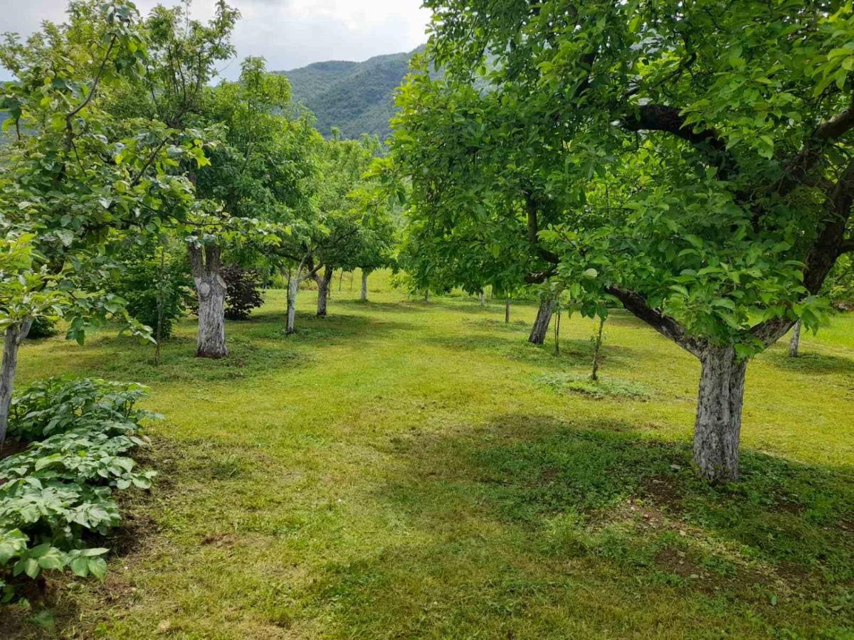 Aleksa Guest House Cetinje Bagian luar foto