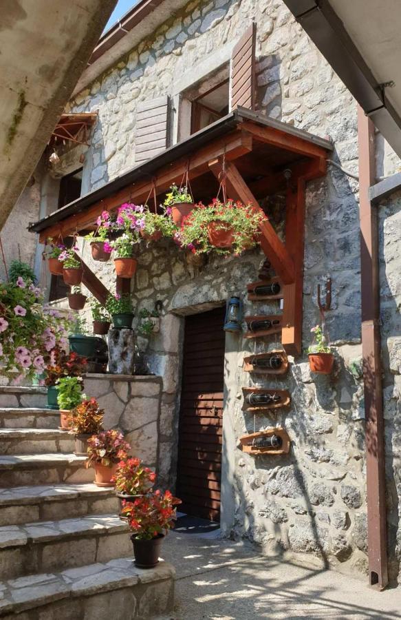 Aleksa Guest House Cetinje Bagian luar foto